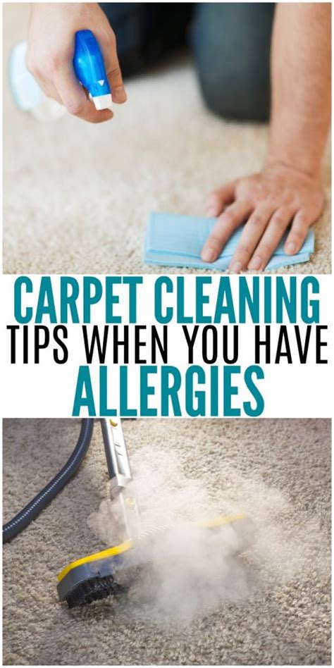 Non-Toxic Carpet Cleaning Solutions for Mascot Owners